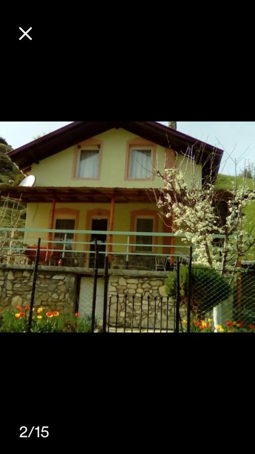 Villa Vrben Ngoại thất bức ảnh