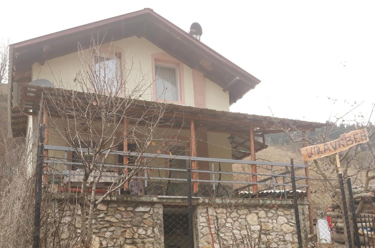 Villa Vrben Ngoại thất bức ảnh