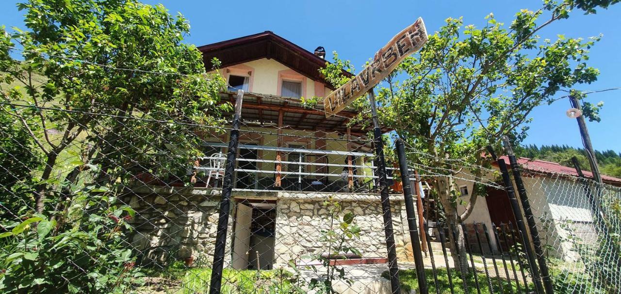 Villa Vrben Ngoại thất bức ảnh