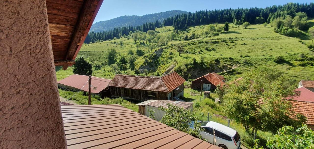 Villa Vrben Ngoại thất bức ảnh